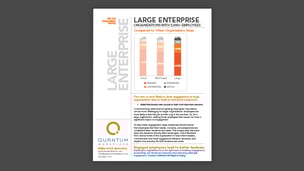 Large Enterprise Engagement Profile (5,000+ Employees)