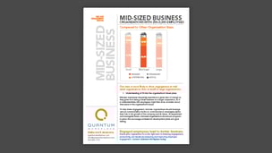Mid-Sized Business Engagement Profile (250-5,000 Employees)